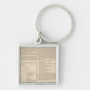 Geologie und Paläontologie der Britischen Inseln Schlüsselanhänger