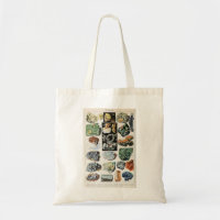 Geologie Vintager Mineralien