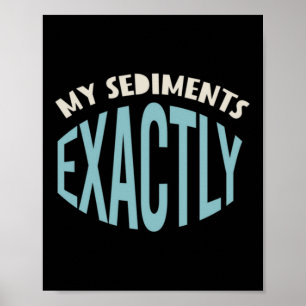 Geologie-Wortspiel, meine Sedimente genau Poster