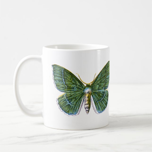 Geometra papilionaria - The Large Emerald Moth Kaffeetasse (Links)