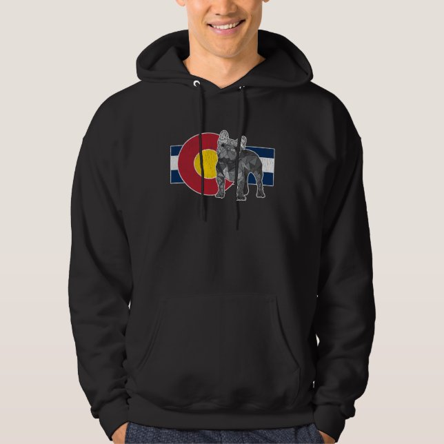 Geometric French Bulldog Colorado Flag  Frenchie Hoodie (Vorderseite)