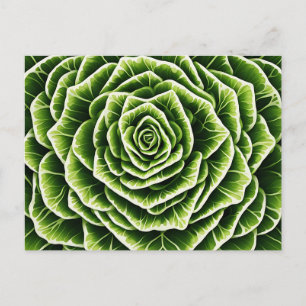 Geometrisches Lettuce-Muster - Blendenart Postkarte