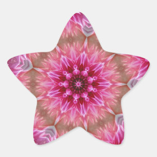 Geometrisches Mandala Pink-Blume-Muster-67545 Stern-Aufkleber