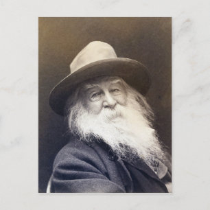 George C. Cox Walt Whitman Postkarte