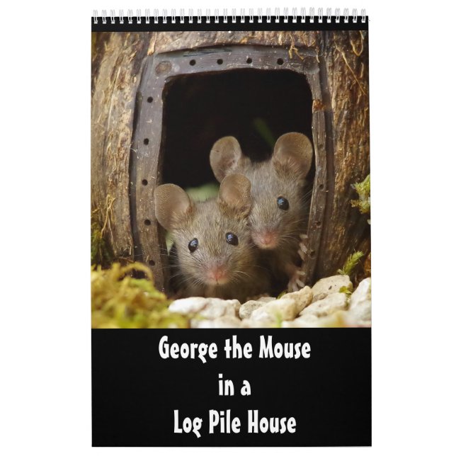 George die Maus in einem Holzstapel House 2020 Kal Kalender (Titelbild)
