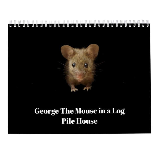 George die Maus mit Klammern Kalender (Rückseite)