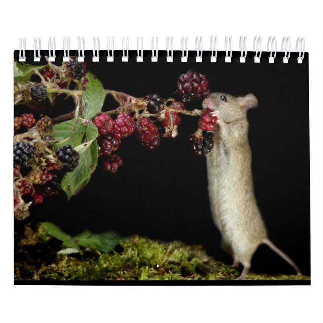 George die Maus mit schwarzem Hintergrund Kalender (Titelbild)