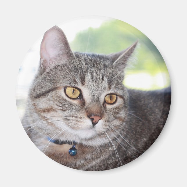 George Magnet (Vorne)