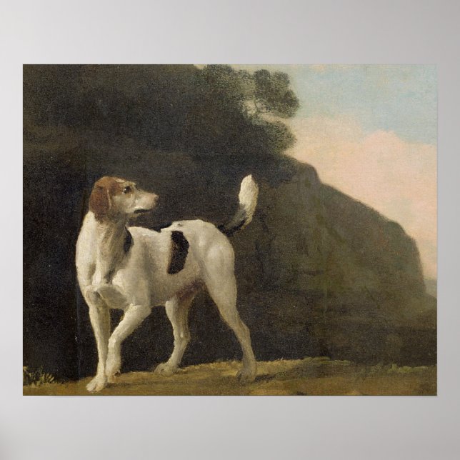 George Stubbs | A Foxhound, c.1760 (Öl auf Papier  Poster (Vorne)