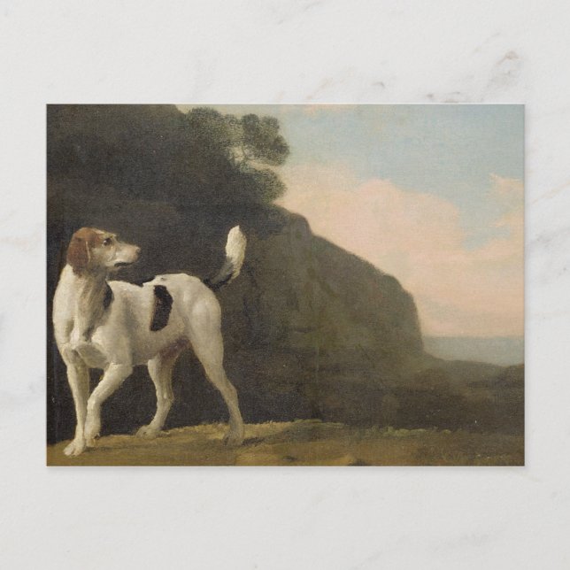 George Stubbs | A Foxhound, c.1760 (Öl auf Papier  Postkarte (Vorderseite)