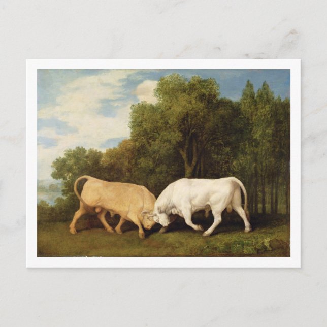 George Stubbs | Bulls Fighting, 1786 (Öl auf Tafel Postkarte (Vorderseite)