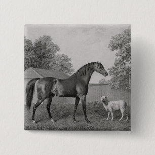 George Stubbs Dungannon, graviert durch George Button
