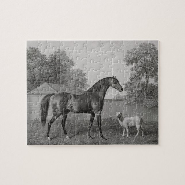 George Stubbs | Dungannon, graviert durch George Puzzle (Horizontal)