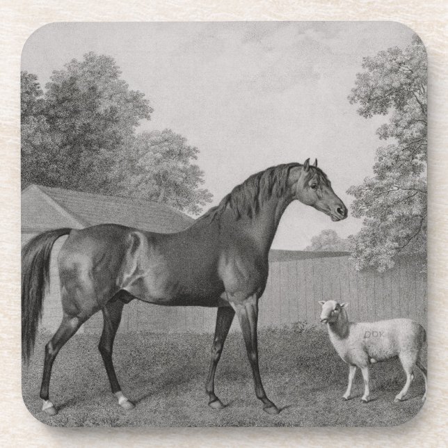 George Stubbs | Dungannon, graviert durch George Untersetzer (Vorderseite)
