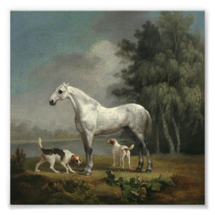 George Stubbs - Ein Apfelgrau-Jäger Fotodruck
