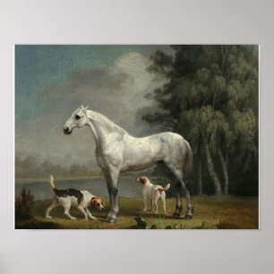 George Stubbs - Ein Apfelgrau-Jäger Poster