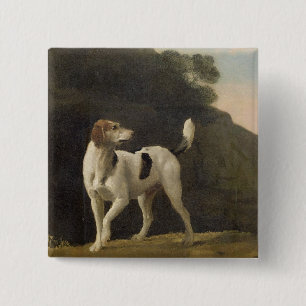 George Stubbs ein Foxhound, c.1760 (Öl auf Button