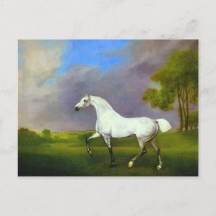 George Stubbs - Ein graues Pferd Postkarte