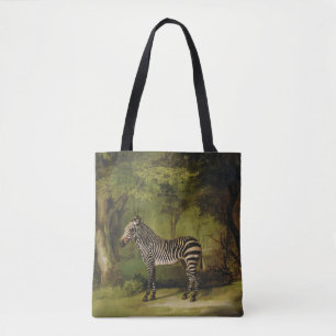 George Stubbs ein Zebra, 1763 (Öl auf Leinwand)