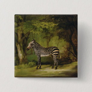 George Stubbs ein Zebra, 1763 (Öl auf Leinwand) Button