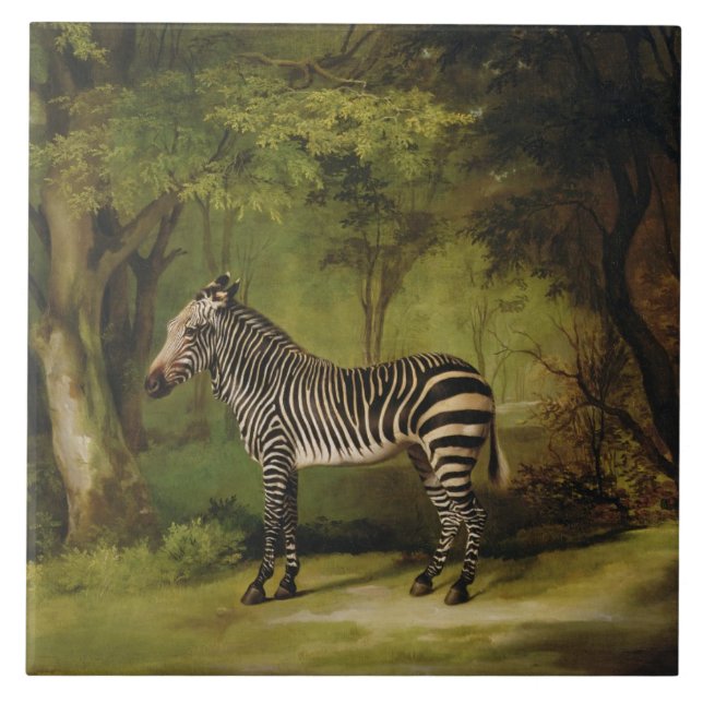 George Stubbs | ein Zebra, 1763 (Öl auf Leinwand) Fliese (Vorderseite)