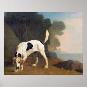 George Stubbs   Foxhound auf dem Geruch, c.1760 Poster