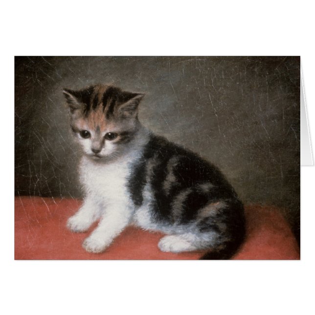 George Stubbs | Frau Ann White's Kitten, 1790 (Vorderseite (Horizontal))