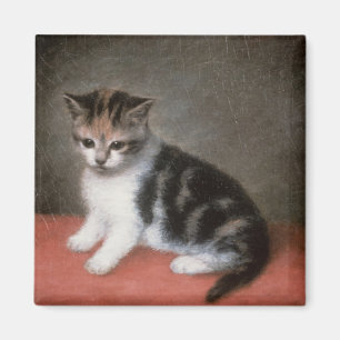 George Stubbs   Frau Ann White's Kitten, 1790 Magnet