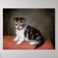 George Stubbs | Frau Ann White's Kitten, 1790