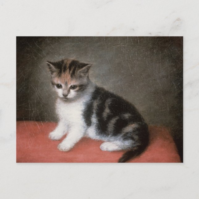 George Stubbs | Frau Ann White's Kitten, 1790 Postkarte (Vorderseite)