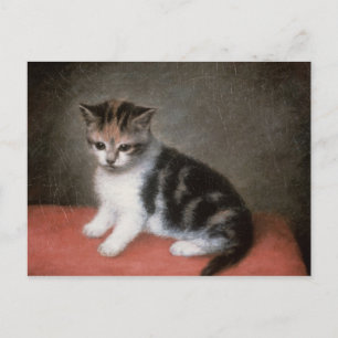 George Stubbs   Frau Ann White's Kitten, 1790 Postkarte
