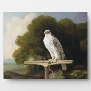 George Stubbs Grönländische Falke (Graufalke), 1 Fotoplatte