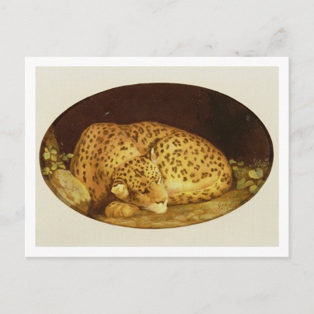 George Stubbs | Leopard, 1777 (Emaille on Postkarte (Vorderseite)