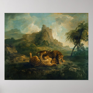 George Stubbs   Leopards at Play, c.1763-8 Poster