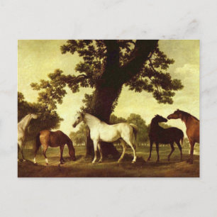 George Stubbs Postkarte