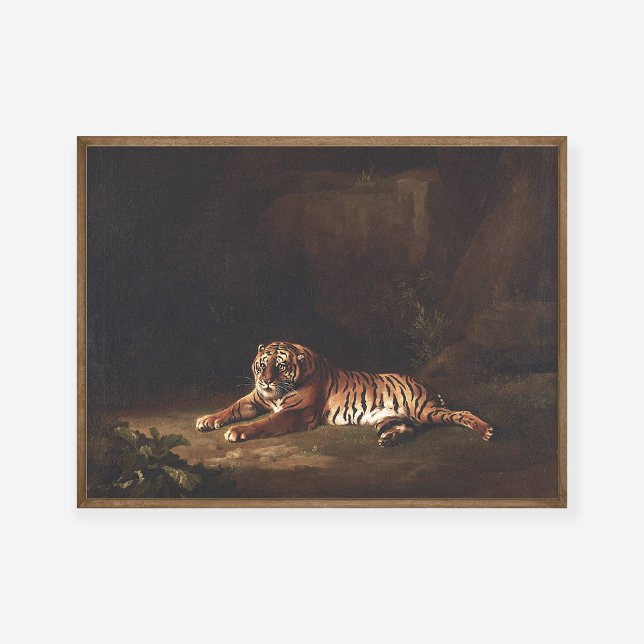 George Stubbs Tiger Malerei Art Print Poster (Von Creator hochgeladen)