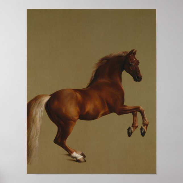 George Stubbs - Whistlejacke Poster (Vorne)