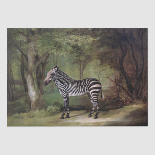 George Stubbs | Zebra (1763) Seidenpapier (Vorderseite)