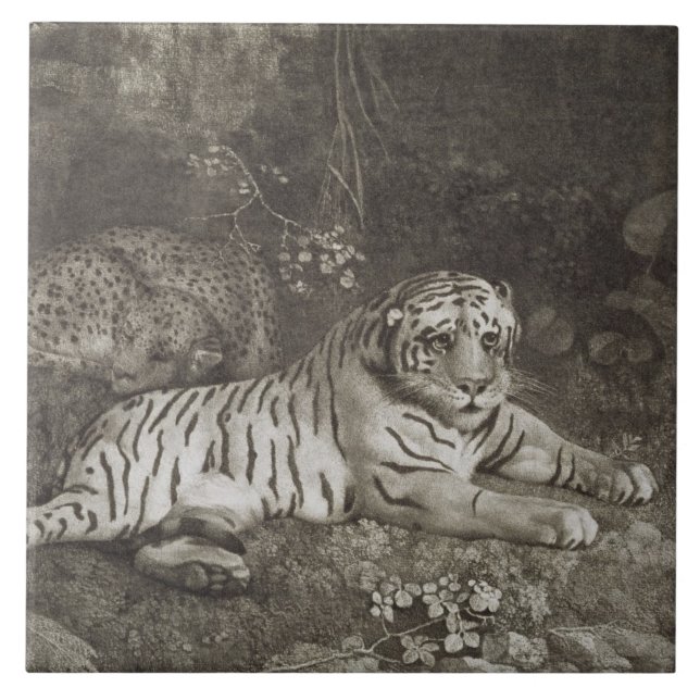 George Stubbs | zwei Tygers, graviert vom Künstler Fliese (Vorderseite)