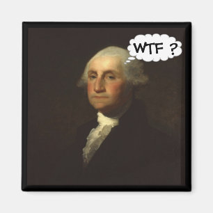 George Washington, der in sein Grab spinnt Magnet