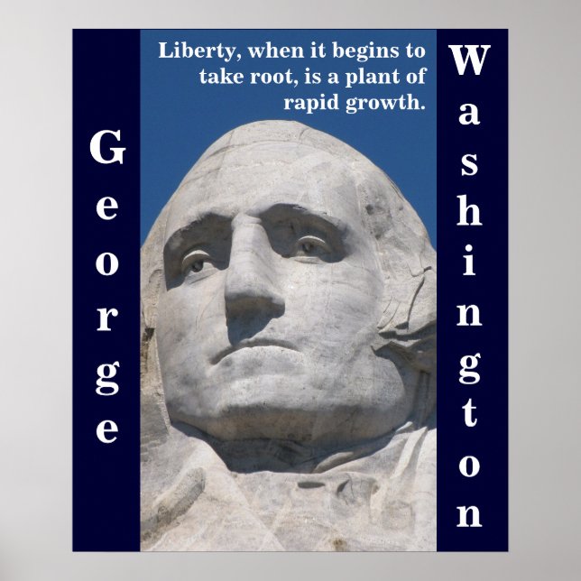George Washington Liberty Poster (Vorne)