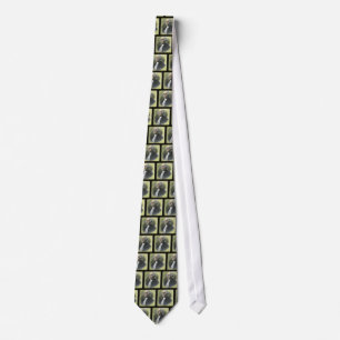 George Washington Vintage-Magie-Laterne-Folie Krawatte