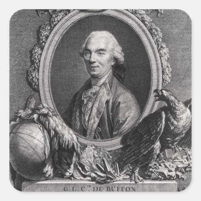 Georges-Louis Leclerc Comte de Buffon Quadratischer Aufkleber (Vorderseite)