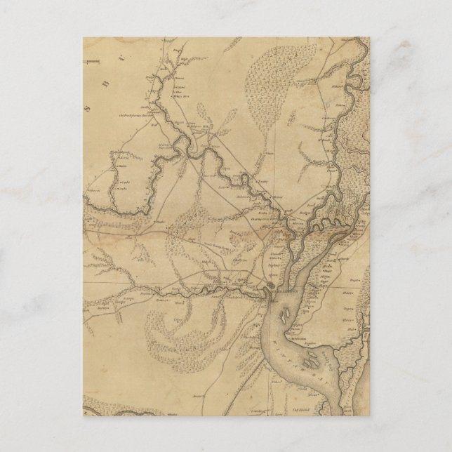 Georgetown District, South Carolina Postkarte (Vorderseite)