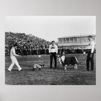 Georgetown Navy Game, G. W. Bulldog und Marine Goa Poster