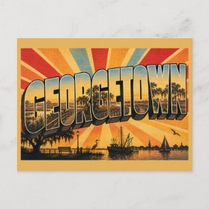 Georgetown SC Hafen-Salzwiesen-Lebenseichen-Kunst Postkarte