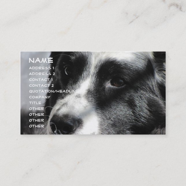 Georgia 012 am 5. April 2009, Name, Adresse 1, Visitenkarte (Vorderseite)