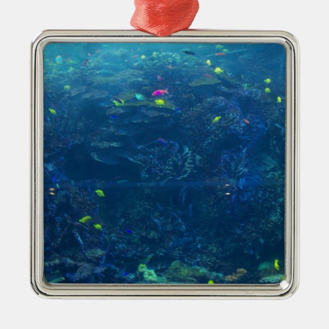 Georgia-Aquarium Ornament Aus Metall (Vorne)