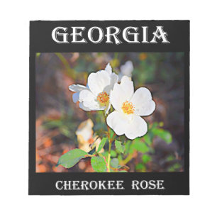 Georgia Cherokee Rose Notizblock