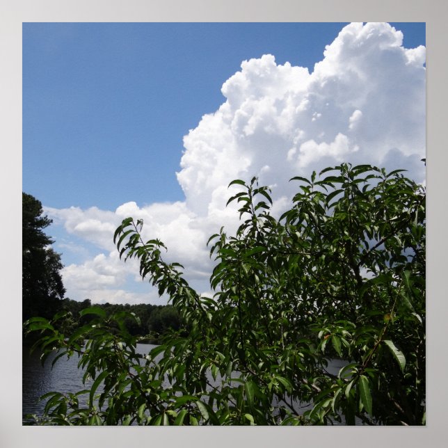 Georgia Peach Tree Fluffy White Clouds Poster (Vorne)